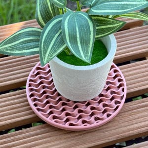 May include: A small, light gray concrete planter with a green plant and a pink wavy coaster. The plant has green and white striped leaves. The coaster is round and has a repeating wave pattern. The planter and coaster sit on a wooden surface.