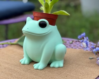 Frog Planter Pot with cute eyes | or a Pencil Holder | Desk Accessory | Many Sizes and Colors