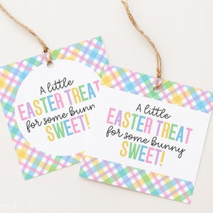 May include: Two Easter gift tags with pastel plaid borders and the text "A little Easter treat for some bunny sweet!" printed in colourful letters. Each tag has a hole at the top with a twine string.