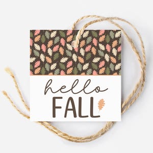 Hello Fall-cadeaulabel, label herfsttraktatie, afdrukbaar herfstkoekje, label Pumpkin Pie, label herfstsnoep, Happy Fall-taslabel, cadeaulabel herfstdessert