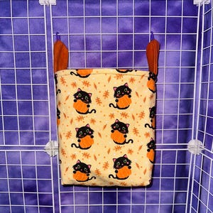 Black Cat & Pumpkin Pouch - Sugar Glider