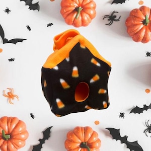 Candy Corn Critter House - Sugar Glider, Rat