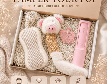 Personalized Dog Gift Box, Puppy Welcome Set, Dog Toy Box with Lint Roller, Pet Hair Keeper Keychain, Gift for Dog Lovers