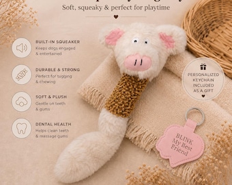 Personalized Dog Toy Gift Set, Plush Squeaky Dog Toy with Custom Keychain, Puppy Chew Toy, Soft Rope Toy for Small Medium Dogs