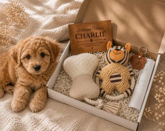 Personalized Puppy Welcome Box, New Puppy Gift Box, Puppy Starter Kit, Custom Dog Gift, Puppy Toys Set, Dog Mom Gift, Pet Lover Gift