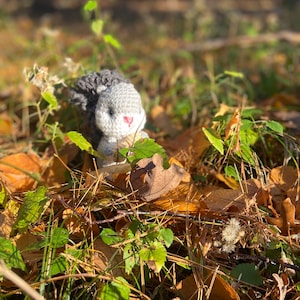 Crochet Squirrel