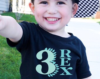 Three Rex Toddler Shirt: 3rd Birthday Dinosaur Outfit