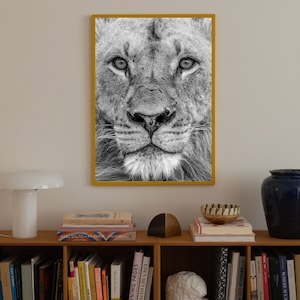 Lion Print Wall Art -Majestic Wildlife Safari Wall Art -Wildlife print -Wildlife photography -African safari wall decor - African Safari