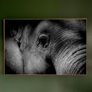Elephant Photography Print |Majestic Wildlife Wall Art |animal photography |nature decor |safari art |African wildlife