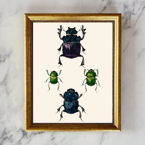 Beetle Print, Beetle poster, Bugs Print, Insect prints, wall Gallery Art, Farmhouse Decor,Natural History Art, Insect Art Prints