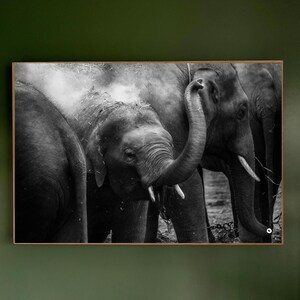 Elephant Family Photography Print |Majestic Wildlife Wall Art |animal photography |nature decor |safari art |African wildlife