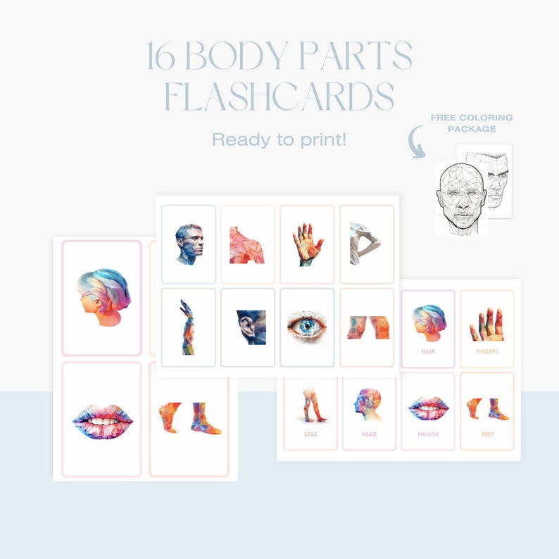16 Body Parts Flashcards Free Coloring Package Body Part Flashcards