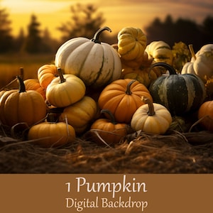 May include: A pile of pumpkins in various sizes and colors, including orange, green, and white, with a sunset in the background.  The pumpkins are arranged in a pile, with the largest pumpkin in the center.  The pumpkins are all different shapes and sizes, and some have stems.