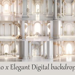 May include: A set of 40 digital backdrops featuring elegant white columns and arches with floral accents. The backdrops are perfect for creating a luxurious and romantic atmosphere for photography.