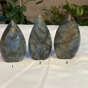 May include: Three teardrop-shaped labradorite crystal points, each with a unique iridescent blue and green pattern. The crystals are arranged in a row from left to right, numbered 1, 2, and 3.