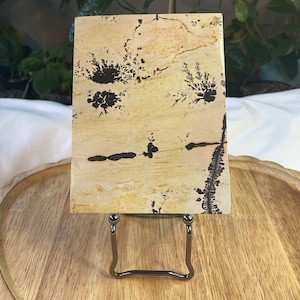 Picture jasper slab