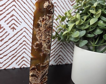 May include: A tall, rectangular, brown and tan crystal point with a textured surface. The crystal has a pointed top and is displayed on a dark surface. A small potted plant is in the background.
