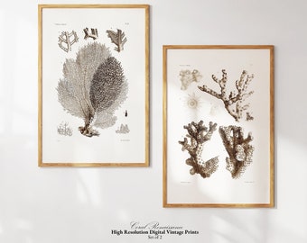Sépia Coral Art Set de 2, vintage Ocean Print, Coral Reef Art, Digital Download, Printable Nautical Wall Art, Bar Cart Art, Sea Life Art