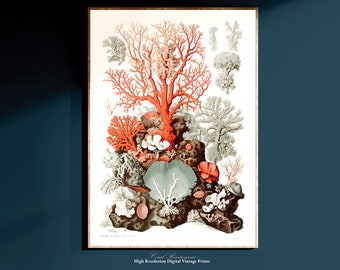 Vintage Ozean Print, Sealife Poster, druckbare Wandkunst, Bar Cart Art, digitaler Download, Küsten Wandkunst, Strand Kunst, Ozean inspirierte Kunst 01