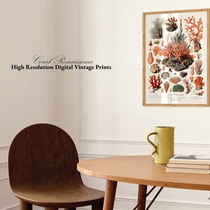 K&ouml;nnte beinhalten: Eine Vintage-Illustration verschiedener Korallenarten, gedruckt auf wei&szlig;em Hintergrund und in einem naturfarbenen Holzrahmen gerahmt. Der Druck h&auml;ngt an einer wei&szlig;en Wand &uuml;ber einem Holztisch mit einer gelben Tasse und einem Stapel B&uuml;chern.