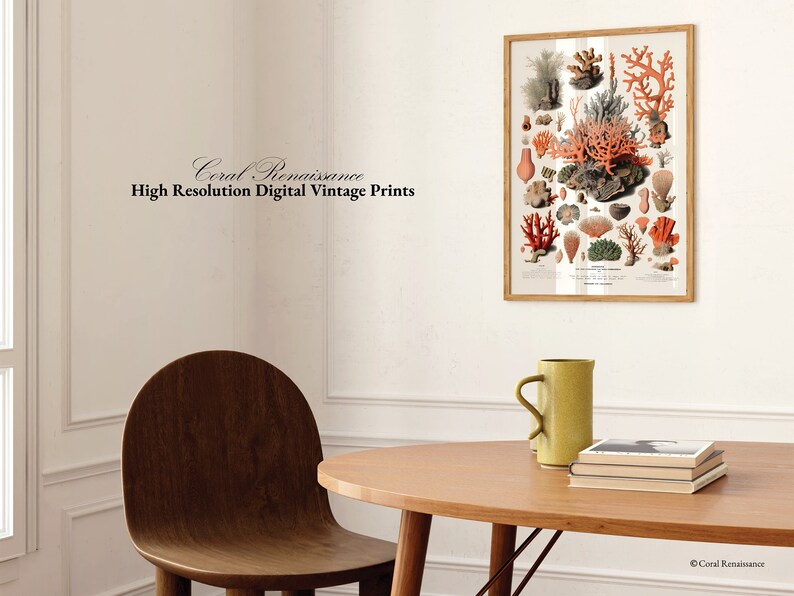 K&ouml;nnte beinhalten: Eine Vintage-Illustration verschiedener Korallenarten, gedruckt auf wei&szlig;em Hintergrund und in einem naturfarbenen Holzrahmen gerahmt. Der Druck h&auml;ngt an einer wei&szlig;en Wand &uuml;ber einem Holztisch mit einer gelben Tasse und einem Stapel B&uuml;chern.