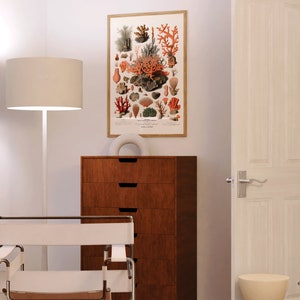 K&ouml;nnte beinhalten: Eine Vintage-botanische Illustration von Korallenarten, die verschiedene Korallenarten in Orange- und Rott&ouml;nen vor einem wei&szlig;en Hintergrund zeigt. Die Illustration ist gerahmt und an einer Wand in einem Raum mit einer wei&szlig;en Lampe, einer Kommode aus Holz und einem wei&szlig;en Stuhl ausgestellt.