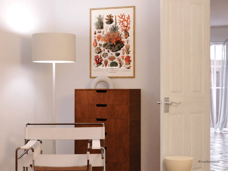 K&ouml;nnte beinhalten: Eine Vintage-botanische Illustration von Korallenarten, die verschiedene Korallenarten in Orange- und Rott&ouml;nen vor einem wei&szlig;en Hintergrund zeigt. Die Illustration ist gerahmt und an einer Wand in einem Raum mit einer wei&szlig;en Lampe, einer Kommode aus Holz und einem wei&szlig;en Stuhl ausgestellt.