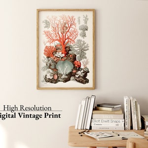 Peut inclure: Une illustration botanique vintage de corail dans un cadre en bois. Le corail est repr&eacute;sent&eacute; dans des tons de rouge, d'orange et de vert sur un fond blanc. L'illustration est encadr&eacute;e dans un cadre en bois naturel.