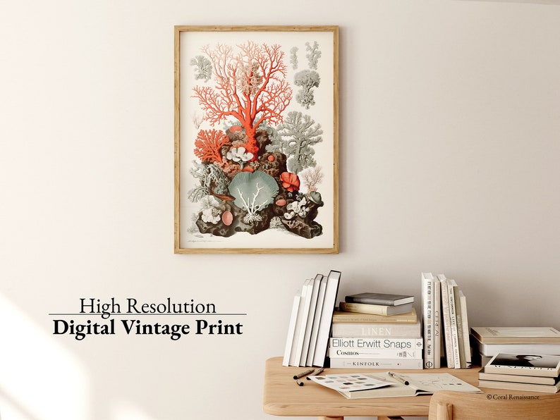 K&ouml;nnte beinhalten: Eine botanische Vintage-Illustration von Korallen in einem Holzrahmen. Die Korallen sind in Rot-, Orange- und Gr&uuml;nt&ouml;nen auf wei&szlig;em Hintergrund dargestellt. Die Illustration ist in einem naturbelassenen Holzrahmen gerahmt.