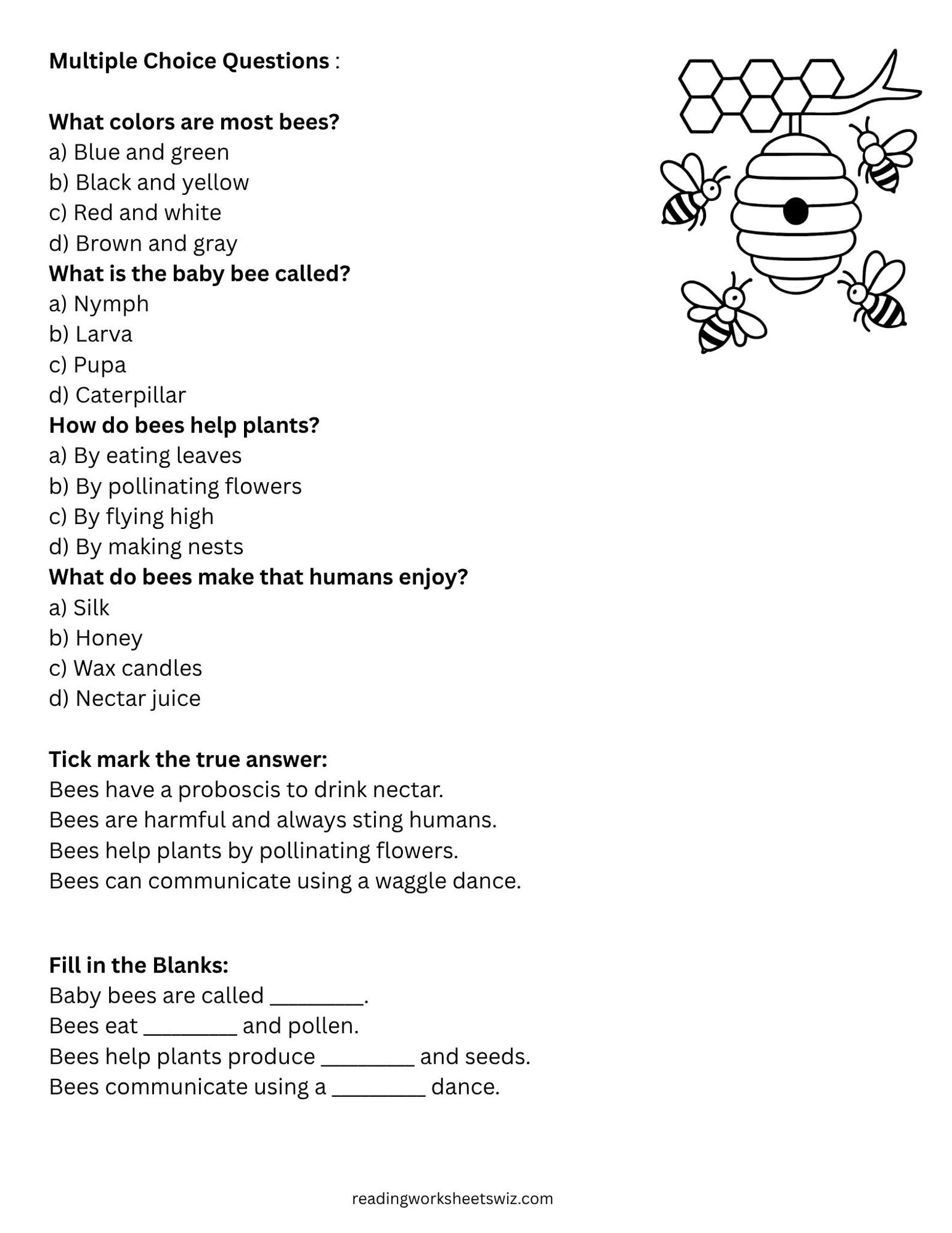 All About Insects Reading Comprehension Worksheets (21 Pages) - Etsy
