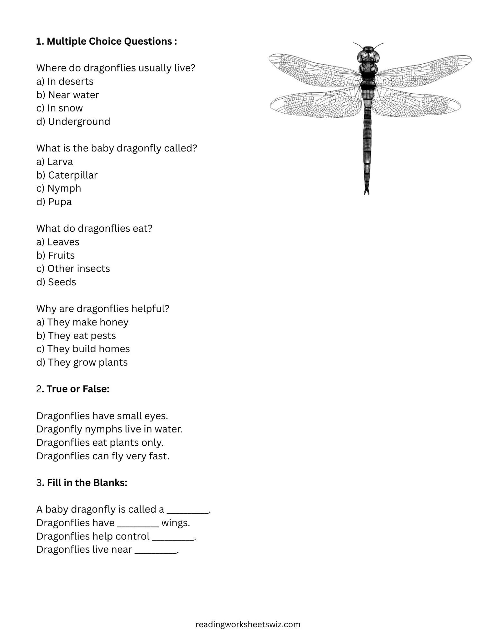 All About Insects Reading Comprehension Worksheets (21 Pages) - Etsy