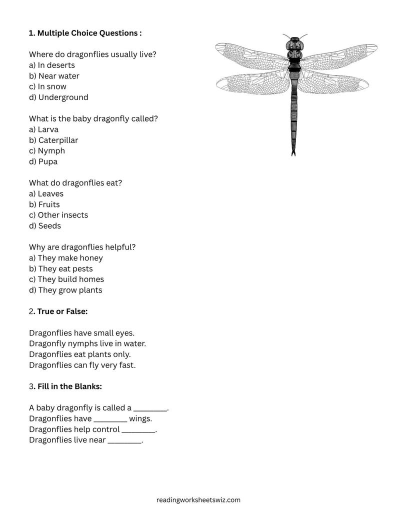 All About Insects Reading Comprehension Worksheets (21 Pages) - Etsy
