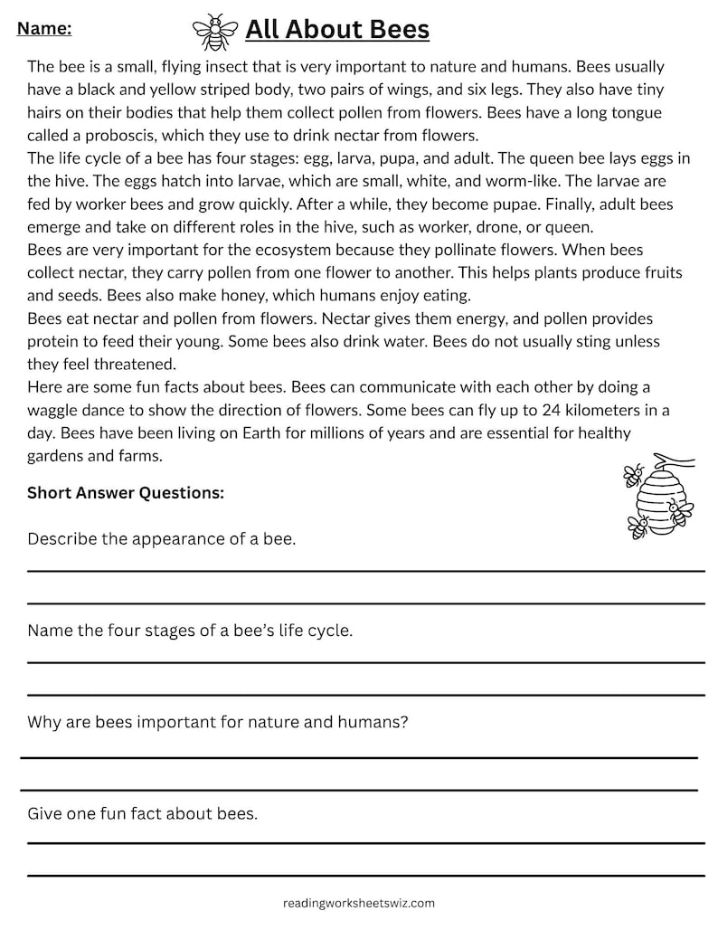 All About Insects Reading Comprehension Worksheets (21 Pages) - Etsy