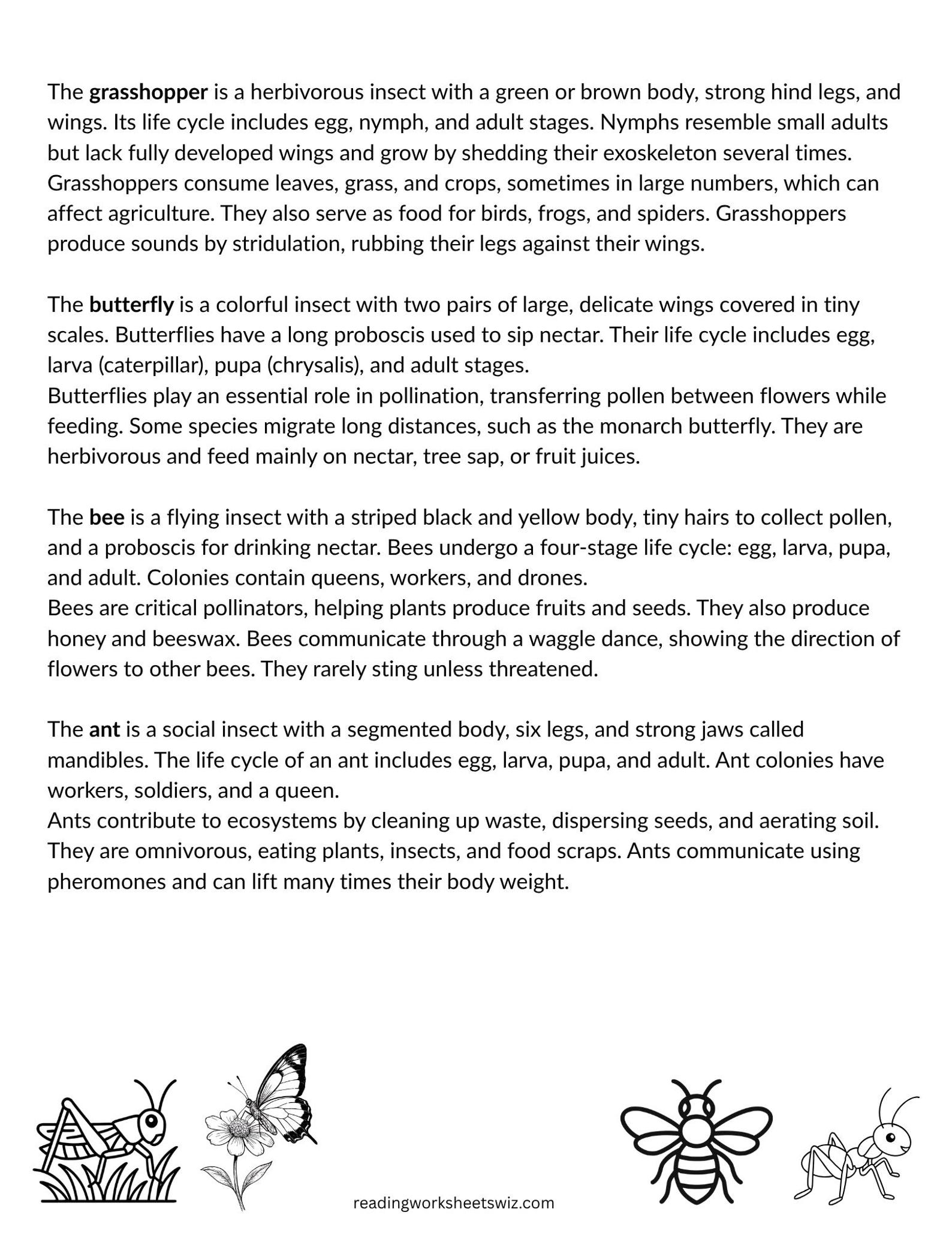 All About Insects Reading Comprehension Worksheets (21 Pages) - Etsy