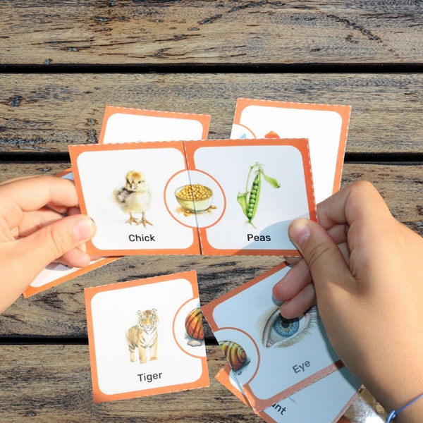 Compound words Matching Cards - Memory Game | Digital download