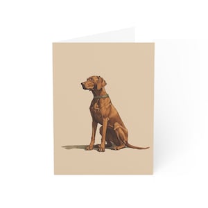Illustration de cartes de voeux en Vizsla hongrois (1, 10, 30 et 50 pièces)