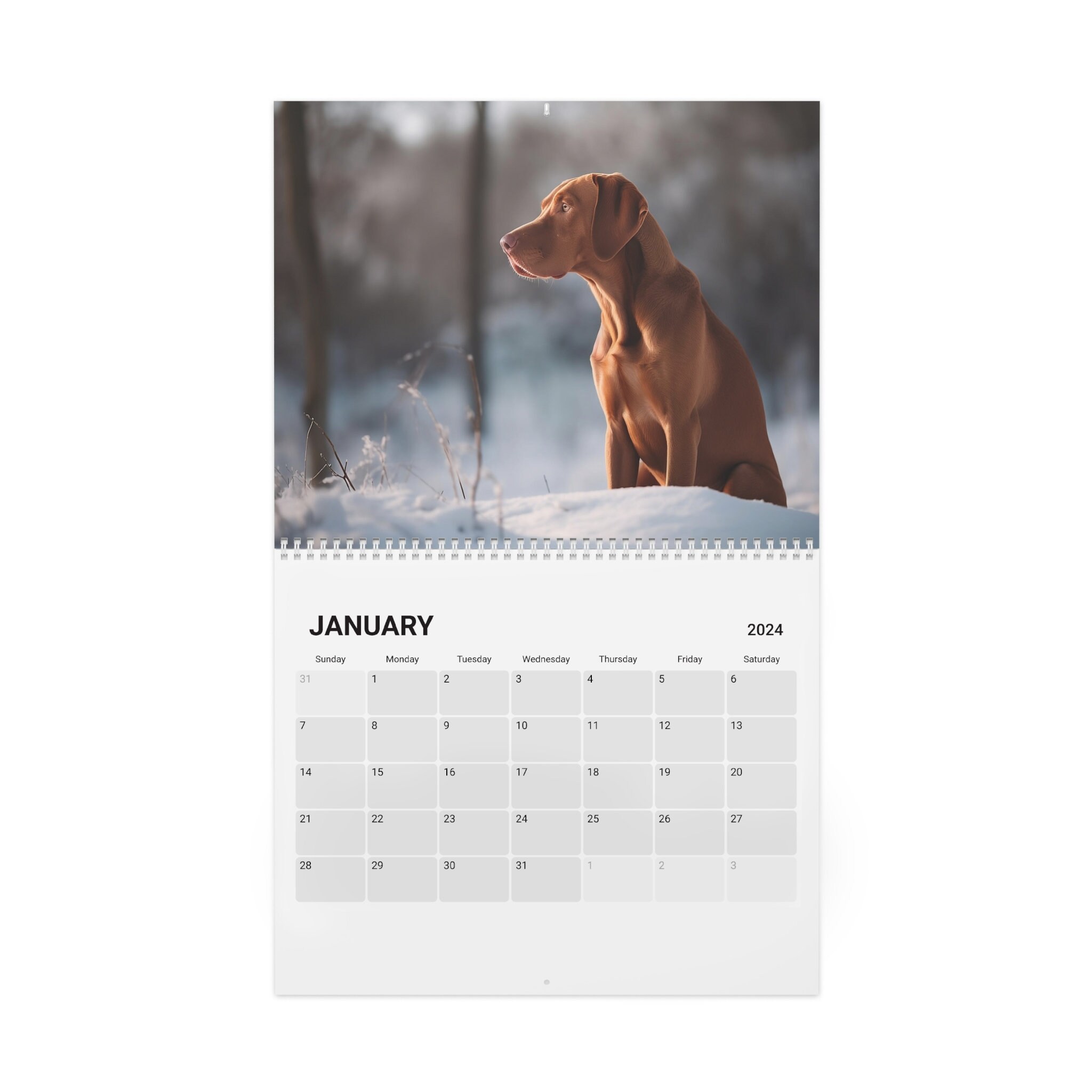 Hungarian Vizsla Calendar 2024 Etsy