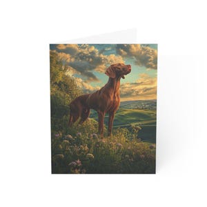 Cartes de voeux hongroises Vizsla Howdy (1, 10, 30 et 50 pièces)
