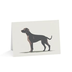 Cartes de voeux hongrois Vizsla (1, 10, 30 et 50 pcs)