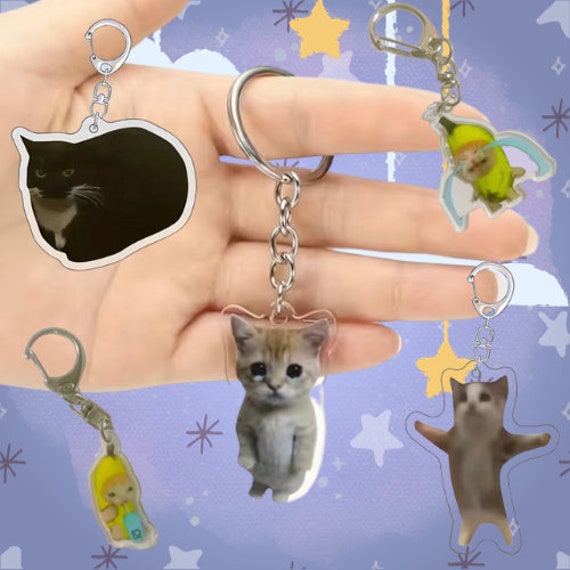 ♡ y2k kittie ♡  Cat aesthetic, Baby animals pictures, Cute animal photos