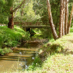 Pósters con paisajes, naturaleza o animales australianos