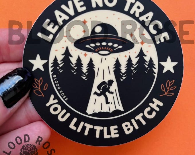 Leave No Trace You Little B*#&! vinyl sticker- alien abduction, ufo, hiker, trail etiquette, outdoors, eco-friendly
