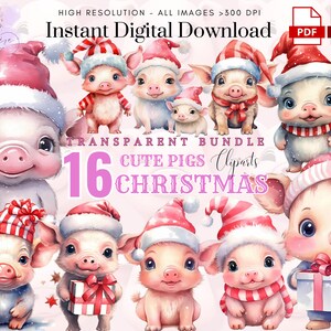 Kerst varken clipart ~ 16 aquarel schattige varkens PNG ~ trouwen met Kerstmis ~ kerstkaart maken ~ hoge kwaliteit transparante PNG ~ digitale ambachtelijke