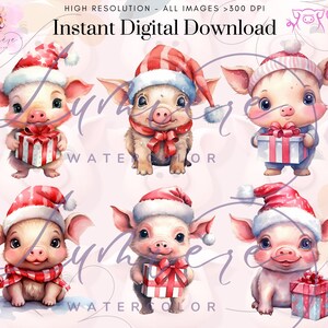 Christmas Pig Clipart ~ 16 Watercolor Cute Pigs PNG ~ Marry Christmas ...