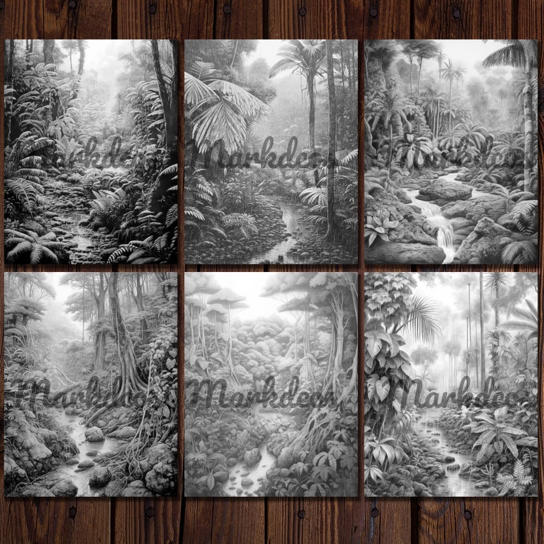 May include: A black and white pencil drawing of a lush jungle scene with a winding stream flowing through it. The drawing depicts a variety of trees, plants, and rocks, creating a sense of depth and realism.