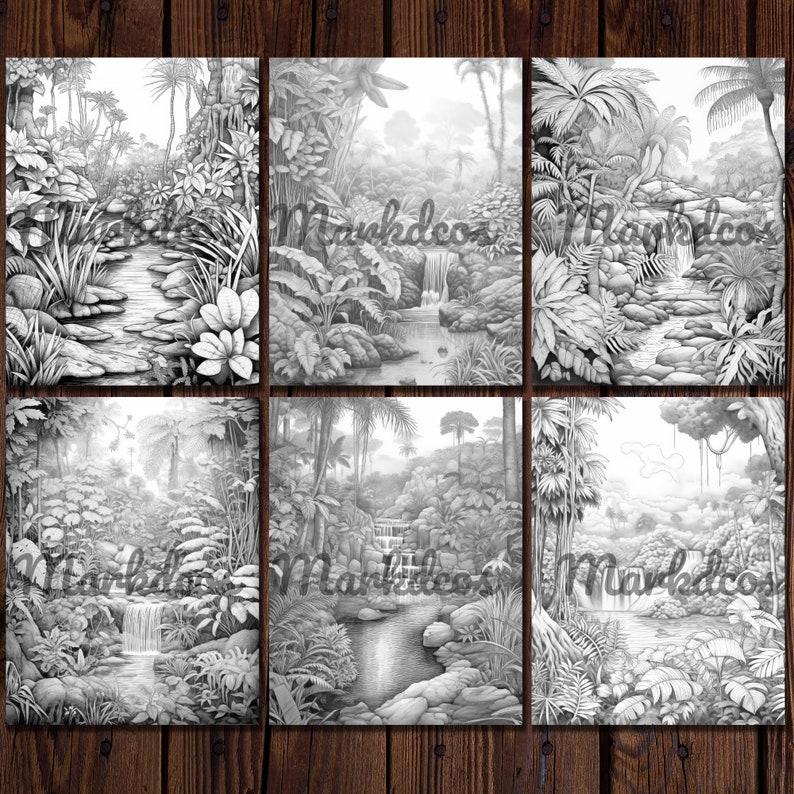 May include: Six black and white pencil drawings of jungle scenes with waterfalls and rivers. Each drawing features lush foliage, rocks, and flowing water.