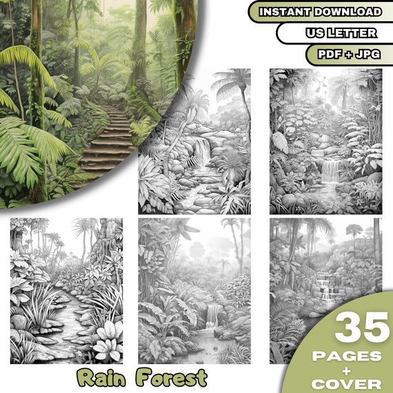 35 Rain Forest Coloring Pages, Grayscale Coloring Book for Adults and Kids, Forest Coloring , Digital Download, Printable PDF File