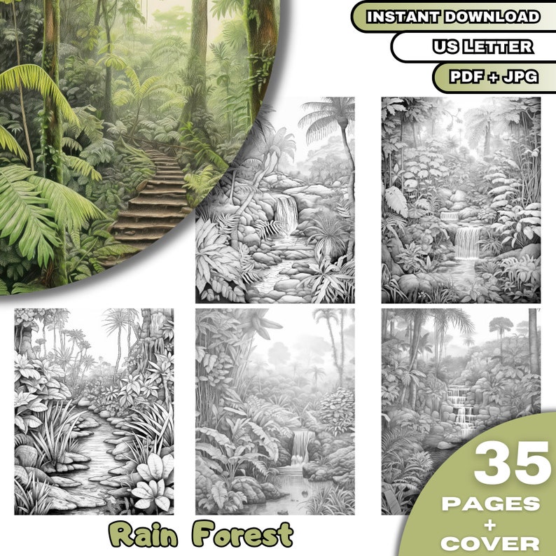 May include: A black and white coloring book featuring 35 pages of rainforest scenes. The cover shows a lush rainforest with a path leading to a waterfall. The title "Rain Forest" is printed in green letters below the image.