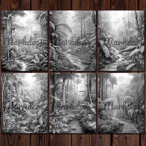 May include: A black and white pencil drawing of a lush, tropical rainforest with a winding stream running through it. The drawing depicts a dense canopy of trees and foliage, with sunlight filtering through the leaves.