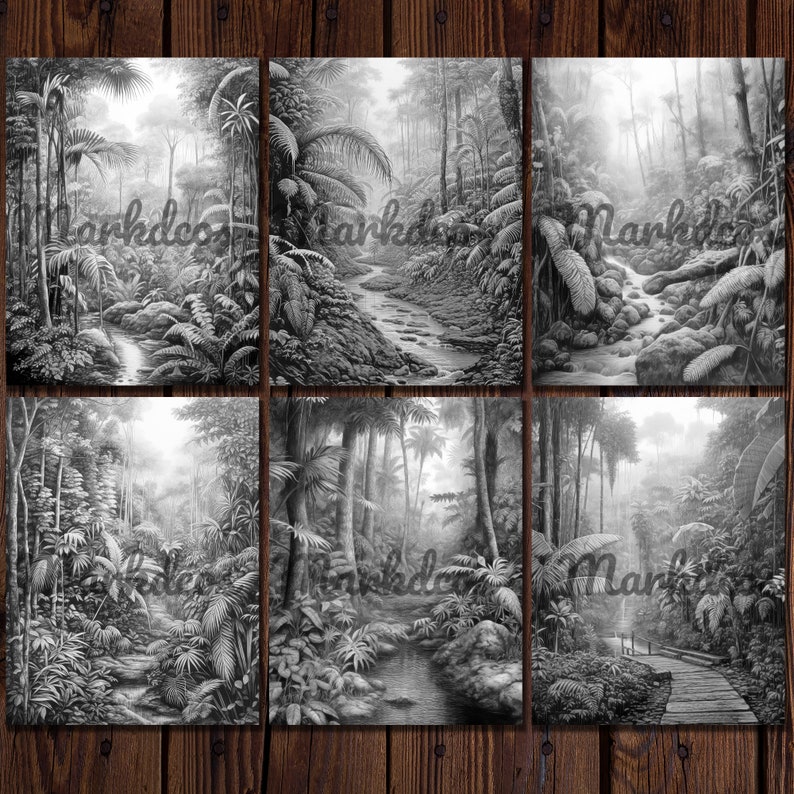 May include: A black and white pencil drawing of a lush, tropical rainforest with a winding stream running through it. The drawing depicts a dense canopy of trees and foliage, with sunlight filtering through the leaves.